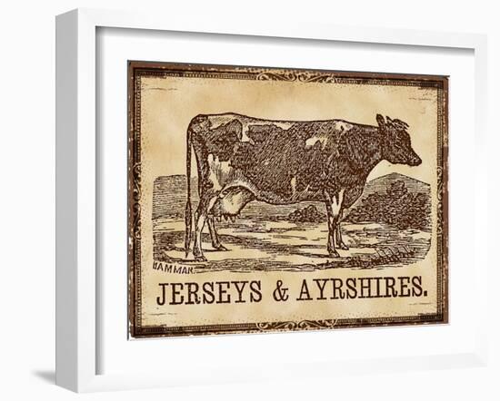 Cow - Jerseys-The Saturday Evening Post-Framed Giclee Print