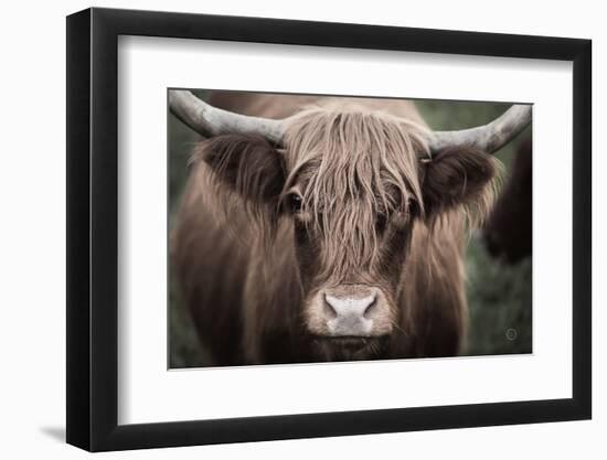 Cow Nose Light-Nathan Larson-Framed Photographic Print