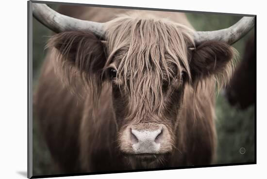 Cow Nose Light-Nathan Larson-Mounted Photographic Print