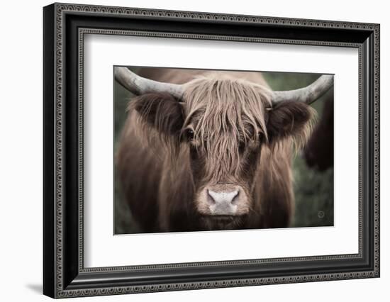 Cow Nose Light-Nathan Larson-Framed Photographic Print