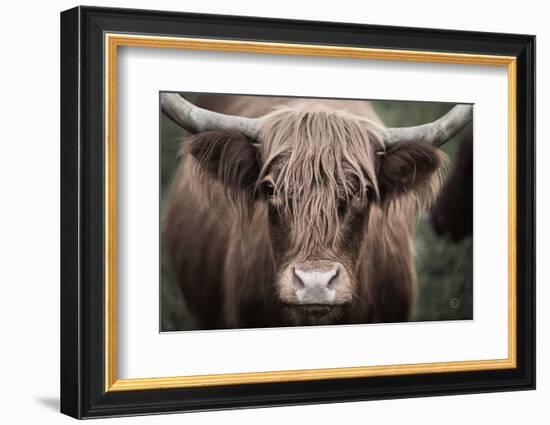 Cow Nose Light-Nathan Larson-Framed Photographic Print