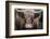 Cow Nose Light-Nathan Larson-Framed Photographic Print