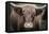 Cow Nose Light-Nathan Larson-Framed Premier Image Canvas