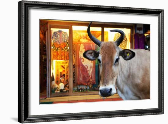 Cow Outside a Shop in the Street in Thekkady, Kerala, India, Asia-Martin Child-Framed Photographic Print