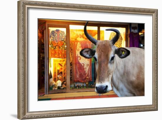 Cow Outside a Shop in the Street in Thekkady, Kerala, India, Asia-Martin Child-Framed Photographic Print