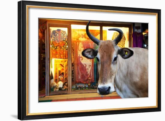 Cow Outside a Shop in the Street in Thekkady, Kerala, India, Asia-Martin Child-Framed Photographic Print