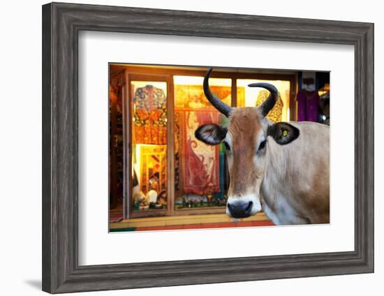 Cow Outside a Shop in the Street in Thekkady, Kerala, India, Asia-Martin Child-Framed Photographic Print