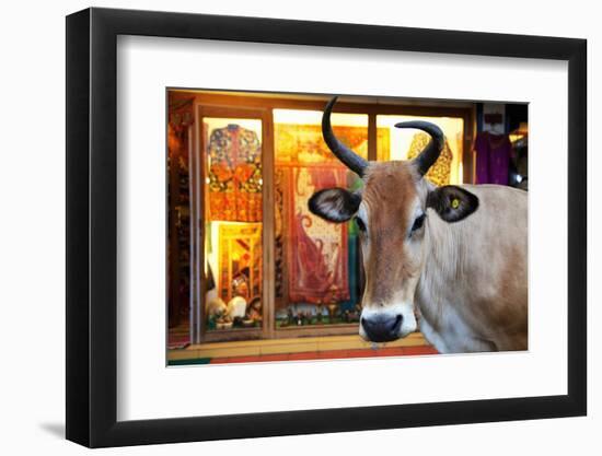 Cow Outside a Shop in the Street in Thekkady, Kerala, India, Asia-Martin Child-Framed Photographic Print