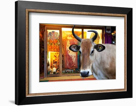 Cow Outside a Shop in the Street in Thekkady, Kerala, India, Asia-Martin Child-Framed Photographic Print