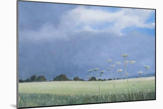 Cow Parsley, 2012-Lincoln Seligman-Mounted Giclee Print