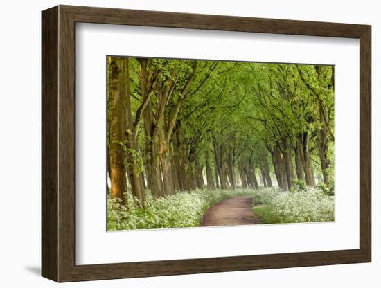 Cow Parsley Curve-Lars Van de Goor-Framed Photographic Print