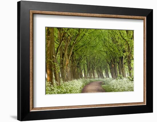 Cow Parsley Curve-Lars Van de Goor-Framed Photographic Print