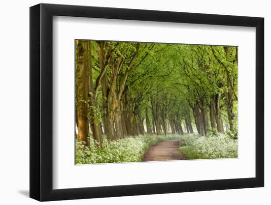 Cow Parsley Curve-Lars Van de Goor-Framed Photographic Print