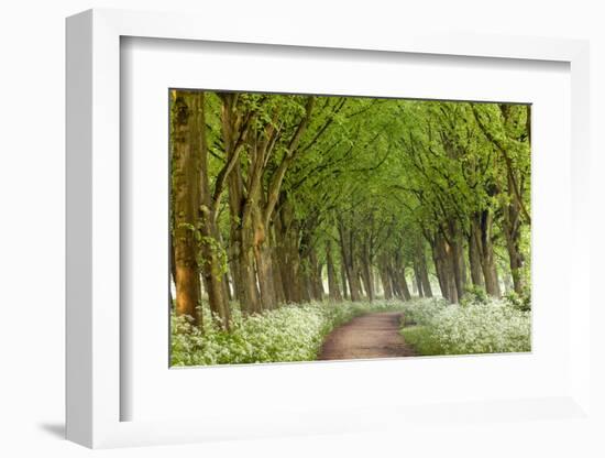 Cow Parsley Curve-Lars Van de Goor-Framed Photographic Print