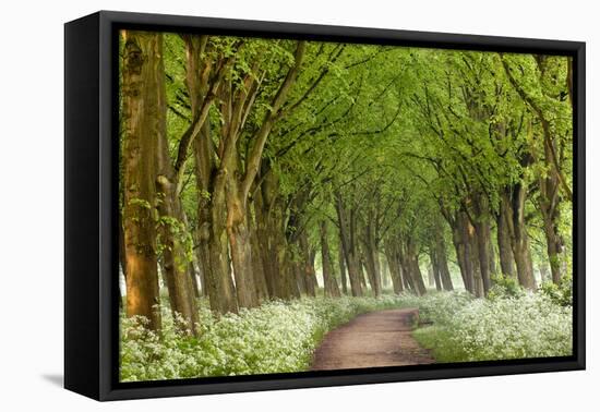 Cow Parsley Curve-Lars Van de Goor-Framed Premier Image Canvas