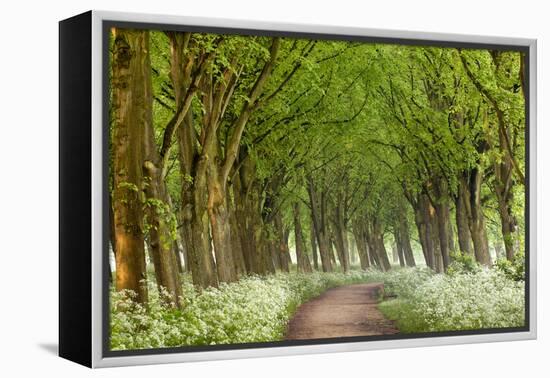 Cow Parsley Curve-Lars Van de Goor-Framed Premier Image Canvas