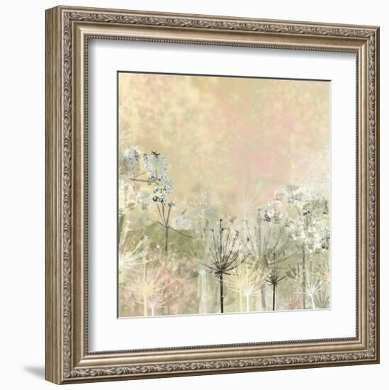 Cow Parsley softness-Claire Westwood-Framed Art Print