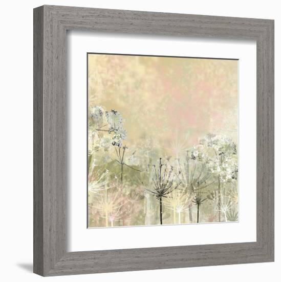 Cow Parsley softness-Claire Westwood-Framed Art Print