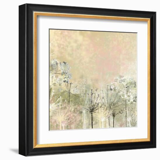 Cow Parsley softness-Claire Westwood-Framed Art Print