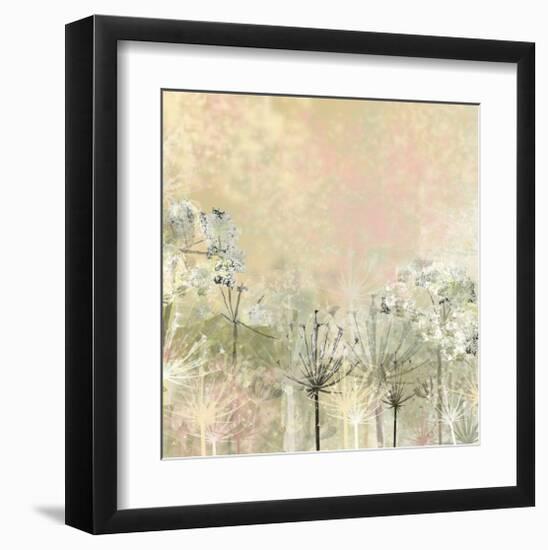 Cow Parsley softness-Claire Westwood-Framed Art Print