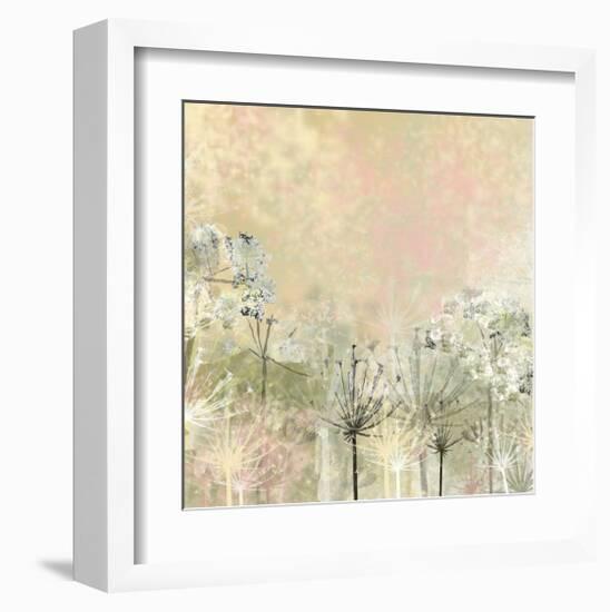 Cow Parsley softness-Claire Westwood-Framed Art Print