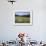 Cow Parsnip and Alpine Sunflower with Crested Butte in Distance, Washington Gulch, Colorado, USA-James Hager-Framed Photographic Print displayed on a wall