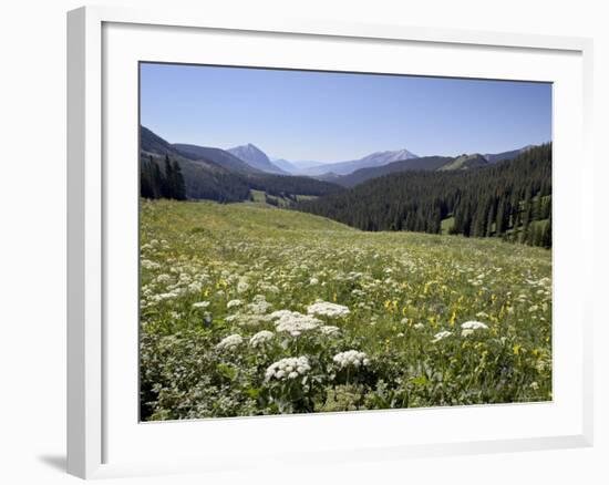 Cow Parsnip and Alpine Sunflower with Crested Butte in Distance, Washington Gulch, Colorado, USA-James Hager-Framed Photographic Print