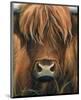 Cow Portrait-Sarah Stribbling-Mounted Art Print