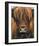 Cow Portrait-Sarah Stribbling-Framed Giclee Print