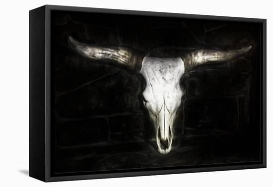 Cow Skull-PHBurchett-Framed Stretched Canvas