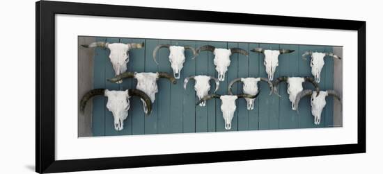 Cow Skulls Hanging on Planks, Taos, New Mexico, USA-null-Framed Photographic Print