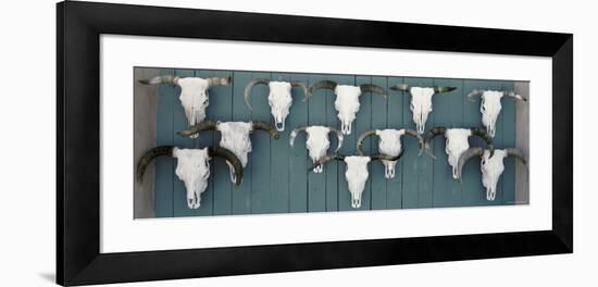 Cow Skulls Hanging on Planks, Taos, New Mexico, USA-null-Framed Photographic Print
