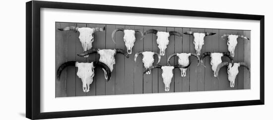 Cow Skulls Hanging on Planks, Taos, New Mexico, USA-null-Framed Photographic Print