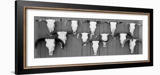 Cow Skulls Hanging on Planks, Taos, New Mexico, USA-null-Framed Photographic Print