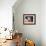 Cow Tips-Lucia Heffernan-Framed Premium Giclee Print displayed on a wall