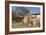 Cow-Robert Kaler-Framed Photographic Print