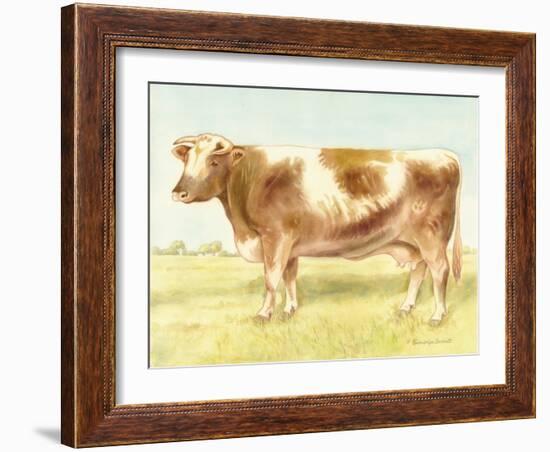 Cow-Gwendolyn Babbitt-Framed Art Print