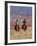 Cowboy and Cowgirl Riding Through Scenic Hills of the Big Horn Mountains, Shell, Wyoming, USA-Joe Restuccia III-Framed Photographic Print