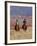 Cowboy and Cowgirl Riding Through Scenic Hills of the Big Horn Mountains, Shell, Wyoming, USA-Joe Restuccia III-Framed Photographic Print