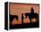 Cowboy and Cowgirl Silhouetted on a Ridge in the Big Horn Mountains, Wyoming, USA-Joe Restuccia III-Framed Premier Image Canvas