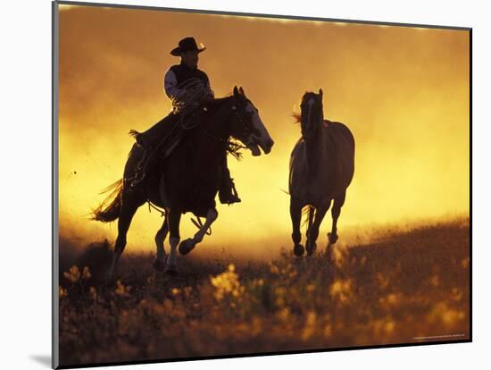 Cowboy and Horse at Sunset, Ponderosa Ranch, Seneca, Oregon, USA-Darrell Gulin-Mounted Photographic Print