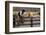 Cowboy and Horses-Darrell Gulin-Framed Photographic Print