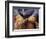 Cowboy and Rope, Ponderosa Ranch, Seneca, Oregon, USA-Darrell Gulin-Framed Photographic Print