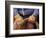 Cowboy and Rope, Ponderosa Ranch, Seneca, Oregon, USA-Darrell Gulin-Framed Photographic Print