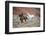 Cowboy at Full Gallop-Terry Eggers-Framed Photographic Print