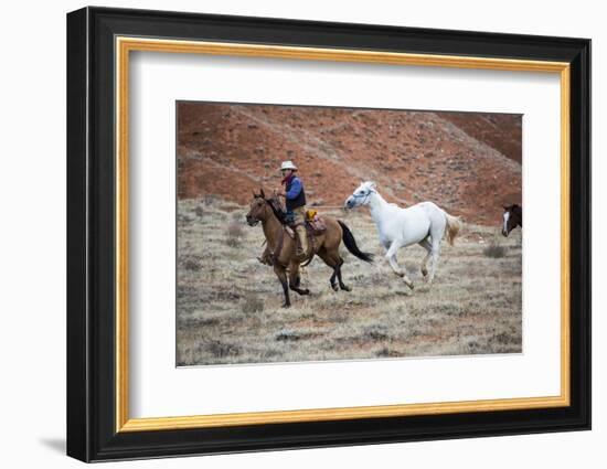 Cowboy at Full Gallop-Terry Eggers-Framed Photographic Print