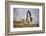 Cowboy at Full Gallop-Terry Eggers-Framed Photographic Print