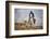 Cowboy at Full Gallop-Terry Eggers-Framed Photographic Print