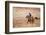 Cowboy at Full Gallop-Terry Eggers-Framed Photographic Print