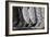 Cowboy Boots BW II-Kathy Mahan-Framed Photographic Print